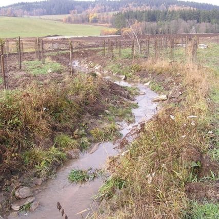 Revitalizace toku Ostřice – doprovodná zeleň v délce 2 km