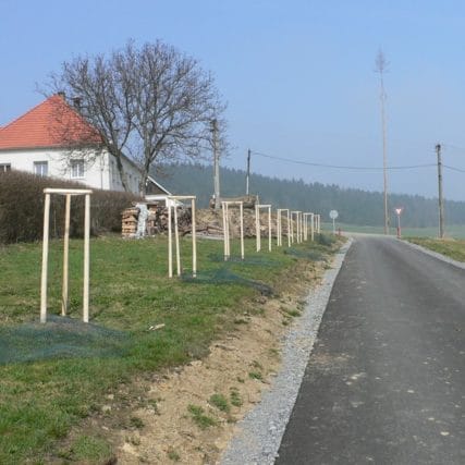 Výsadby pro Pozemkový úřad Český Krumlov