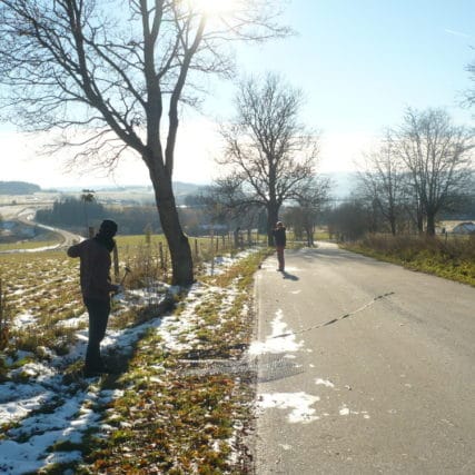 Výsadby Černá v Pošumaví